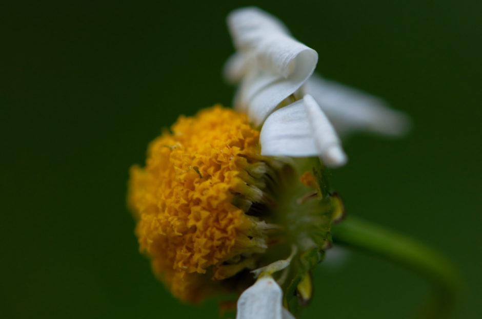 Youth isn’t sacred