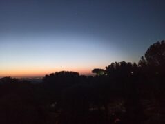 Stars