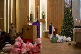 Llamas, Chat, Fellowship