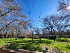 Sound, Overambitious, Colour