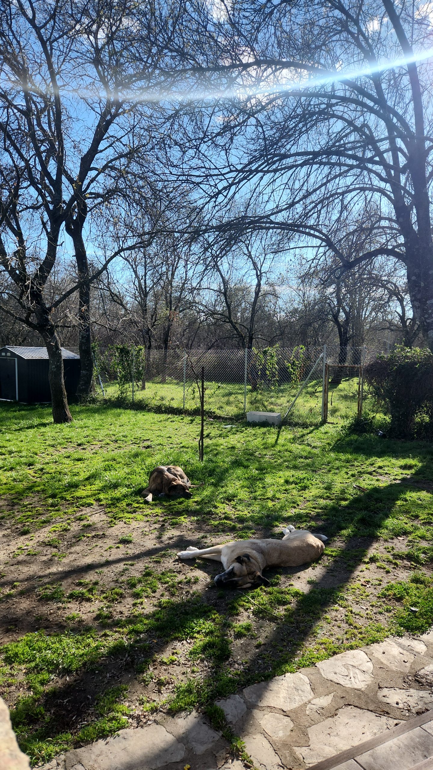 Spring, Listen, Prayer