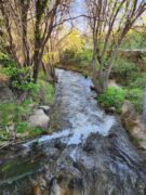 Tenner, Sun, Gift, Walk