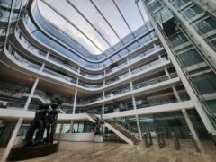 Curls, Video, Experience, Rapport, Queue