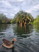 Madrid – Barcelona – Toulouse: Taking the long way in