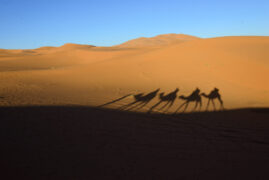 Desert Tales