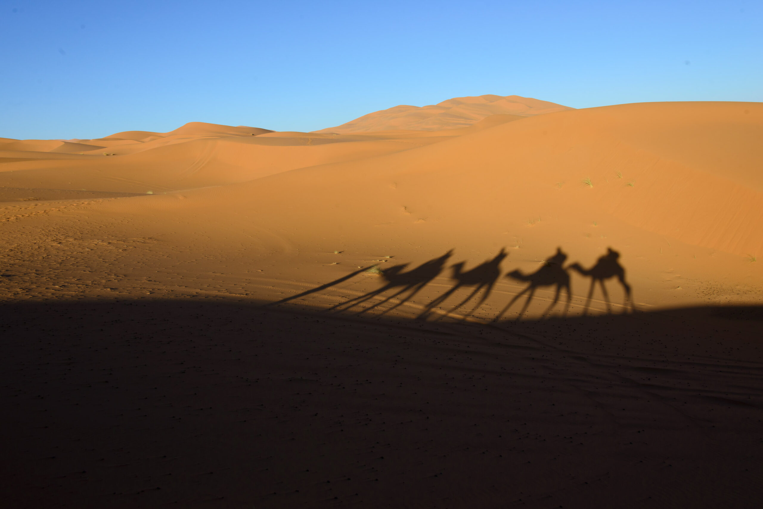 Desert Tales