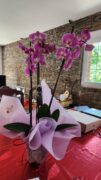 Gift, Love, Flowers