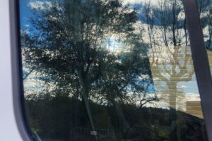 wp-17645386478829044757901483917199.jpg wp-17645386478829044757901483917199.jpg