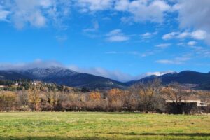 wp-17645386484561976702756720330653.jpg wp-17645386484561976702756720330653.jpg