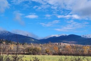 wp-1764538648796642661771512240824.jpg wp-1764538648796642661771512240824.jpg