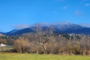 wp-17645386489168252441117838186783.jpg wp-17645386489168252441117838186783.jpg